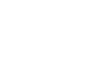 Virtual Emily